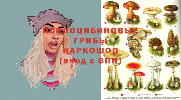 крисы Ростов