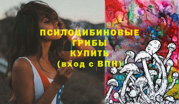 крисы Ростов