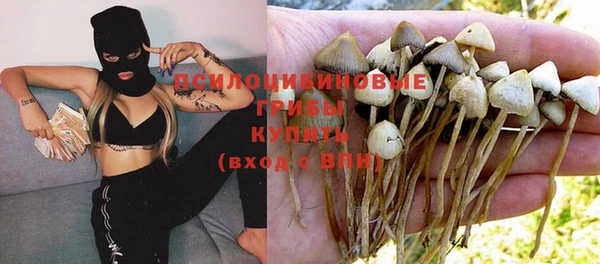 а пвп мука Сатка
