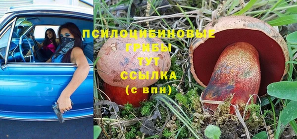 крисы Ростов